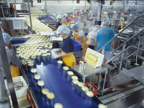 Canning factory production line
