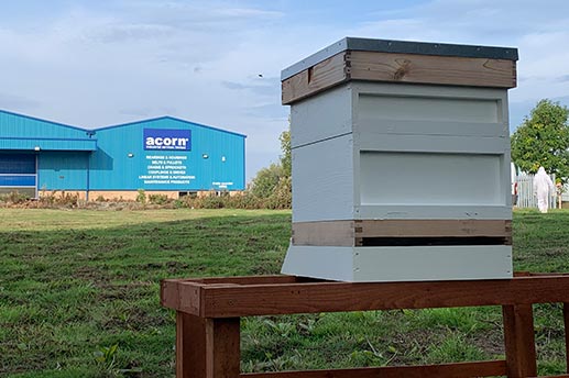 Image of a bee hive on a field with a building in the background