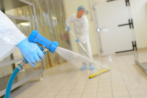 Employees pressure wash food and beverage in a food and beverage processing factory