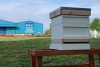 Image of a bee hive on a field with a building in the background