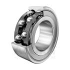 INA Double Row Angular Contact Ball Bearing