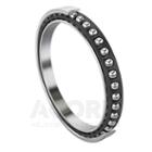 INA Single Row Angular Contact Bearing