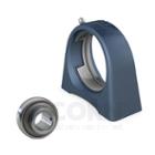 SKF Cast iron short base pillow block
