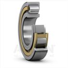 SKF Cylindrical roller bearing with brass cage