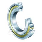 FAG Cylindrical roller bearing brass cage, single row, non-locating bearing, 0 ribs on outer ring, 2 rib on inner ring, type N2