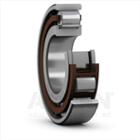 N 204 ECP,  SKF,  Cylindrical roller bearing. Fixed inner ring - Sliding outer ring