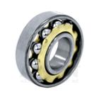 Magneto bearing