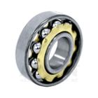 E 18,  Neutral,  Magneto Bearing