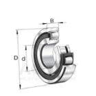 FAG Single Row Barrel Roller Bearing