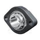 INA Oval 2-bolt RMEA series bearing unit