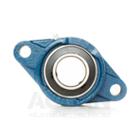 Oval 2-bolt bearing unit