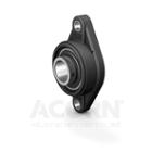 Y-Bearing Oval Flange (2 Bolt)