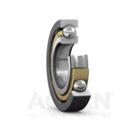 SKF INSOCOAT® Single Row Deep Groove Ball Bearing
